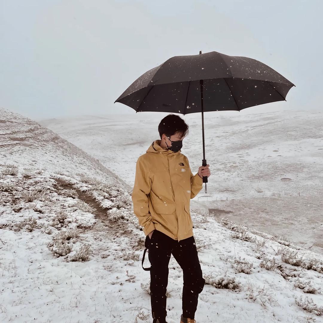 从没见过帝王绿