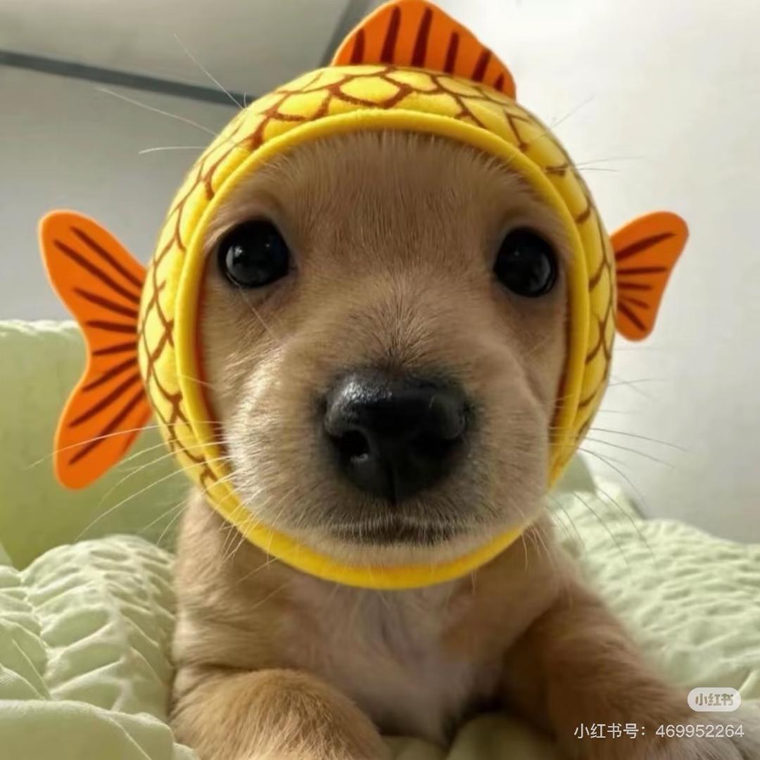 @👒