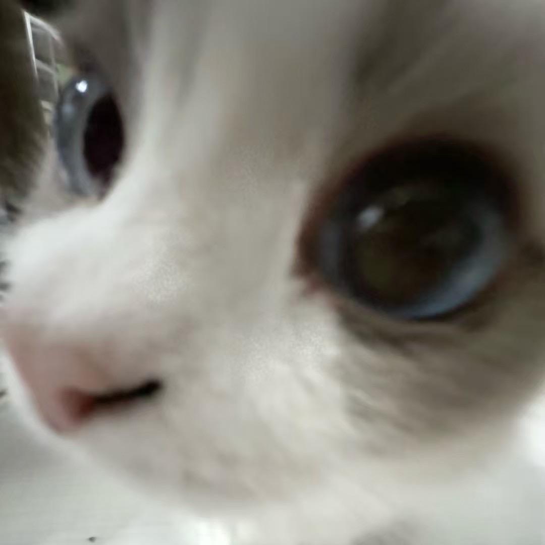 严云一先生