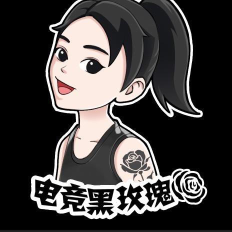长沙电竞黑玫瑰（鑫众联电脑卓威湖南代理）