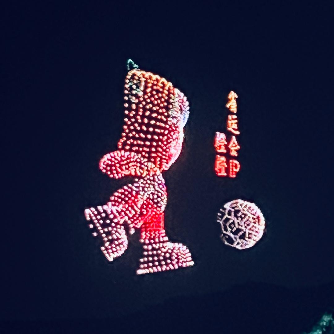 ⚽️小菜鸟🦜🏀