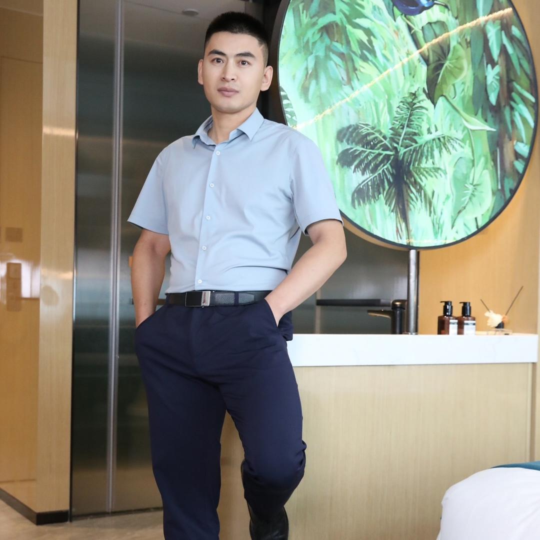 雁南飞