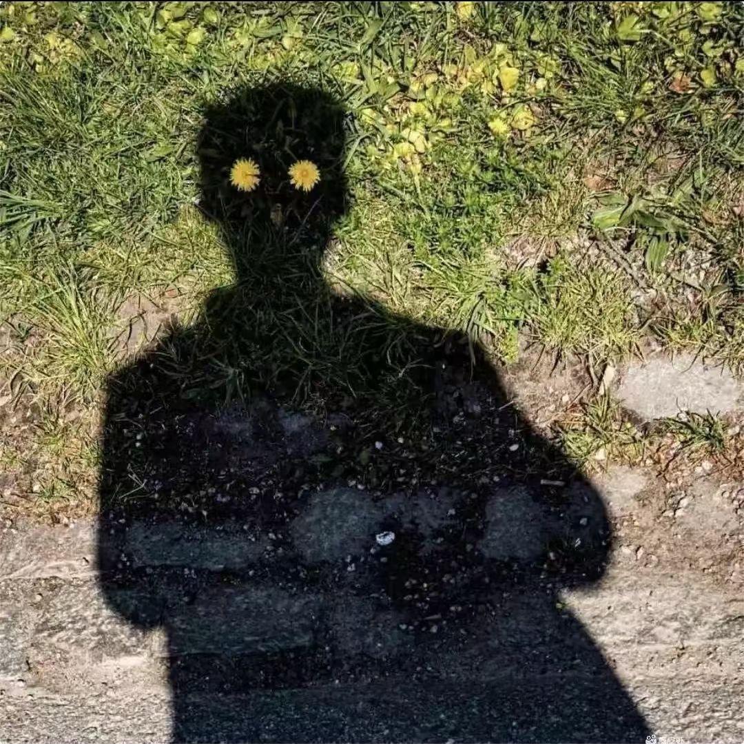 柠檬没有酸脚酸