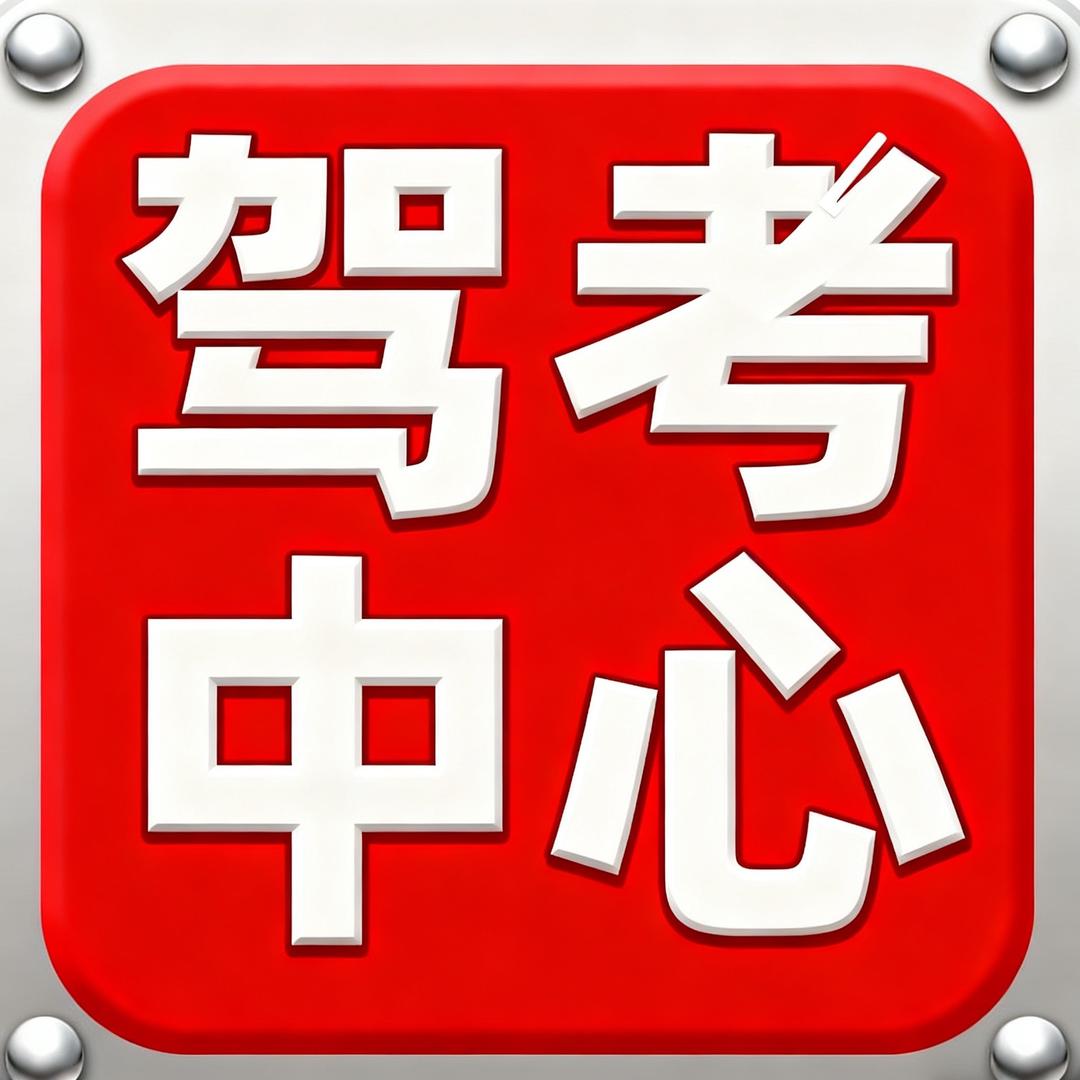 驾考教练一把过