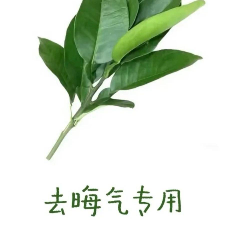 好奇怪
