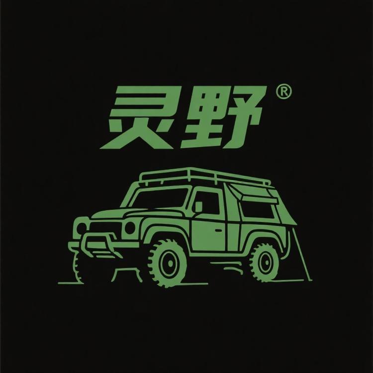 灵野汽车用品店