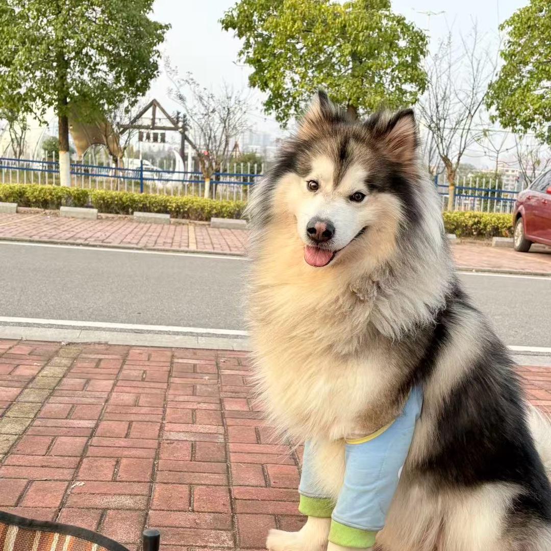 零