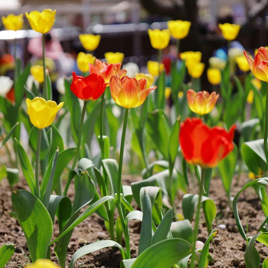 苏州车辆过户年检一站式服务