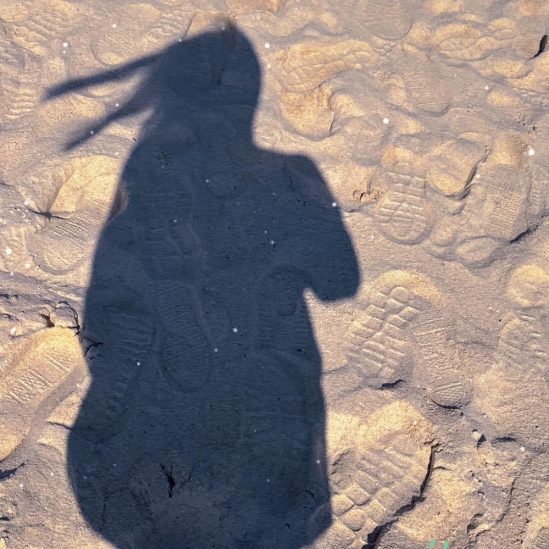 木☘️木☘️夕