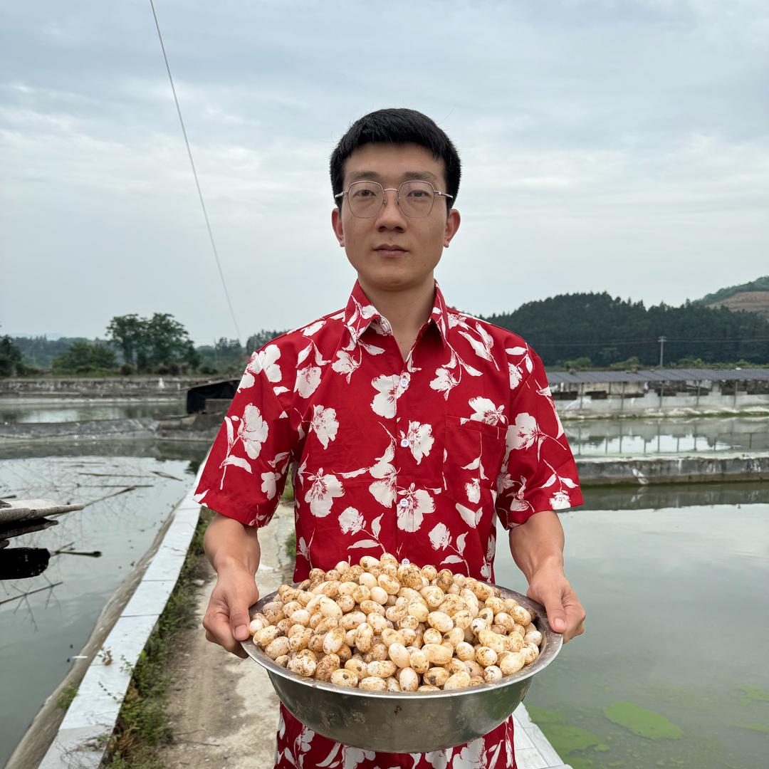 春平（老表）