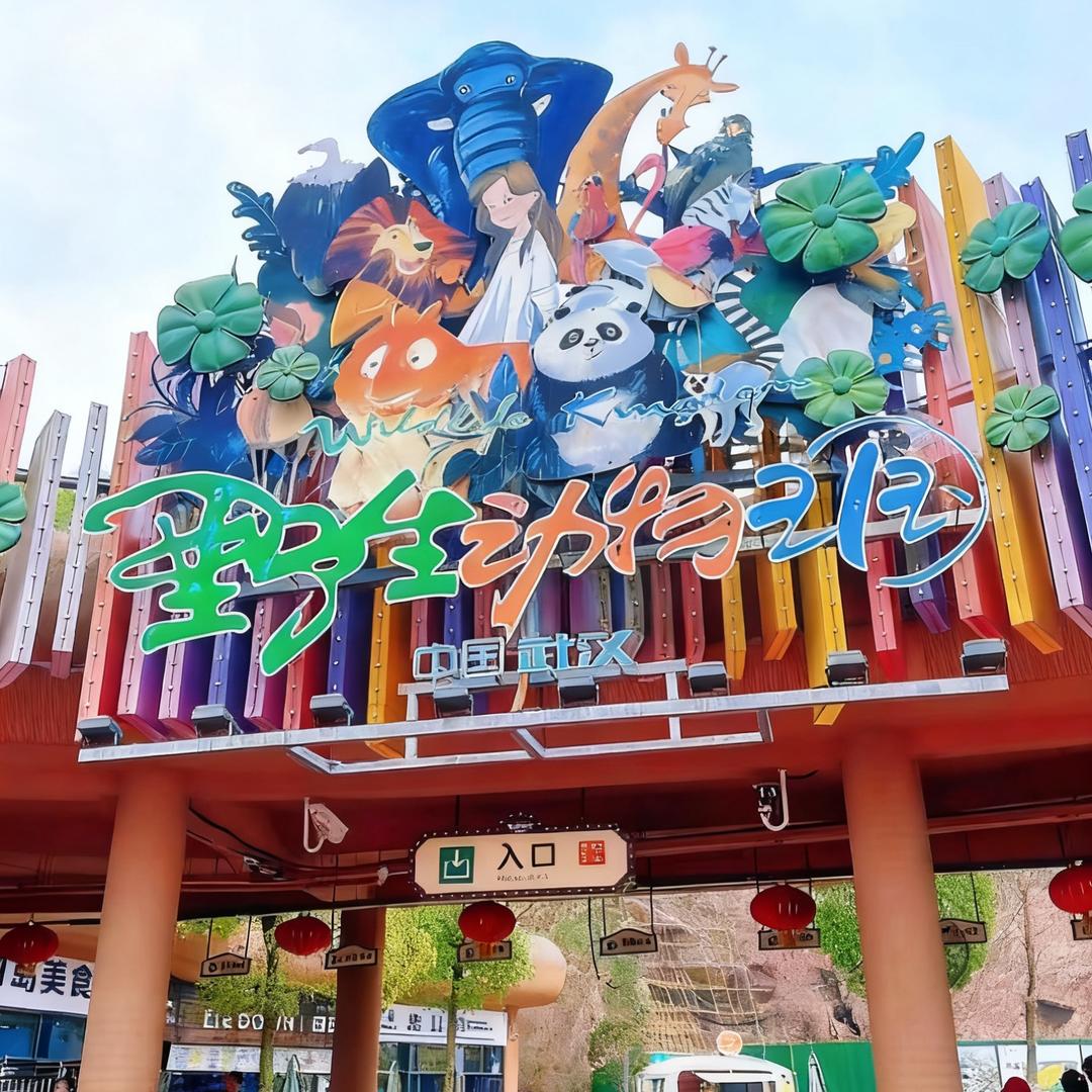 遛弯计划