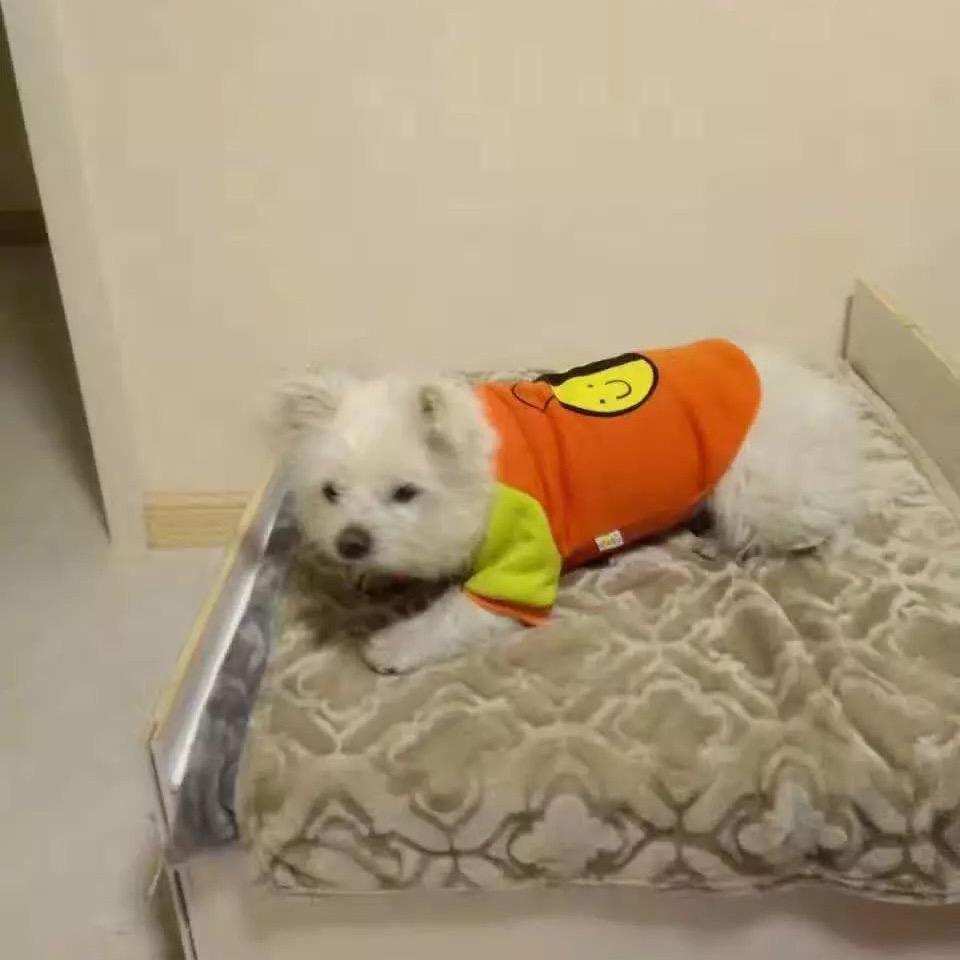 墨墨有声