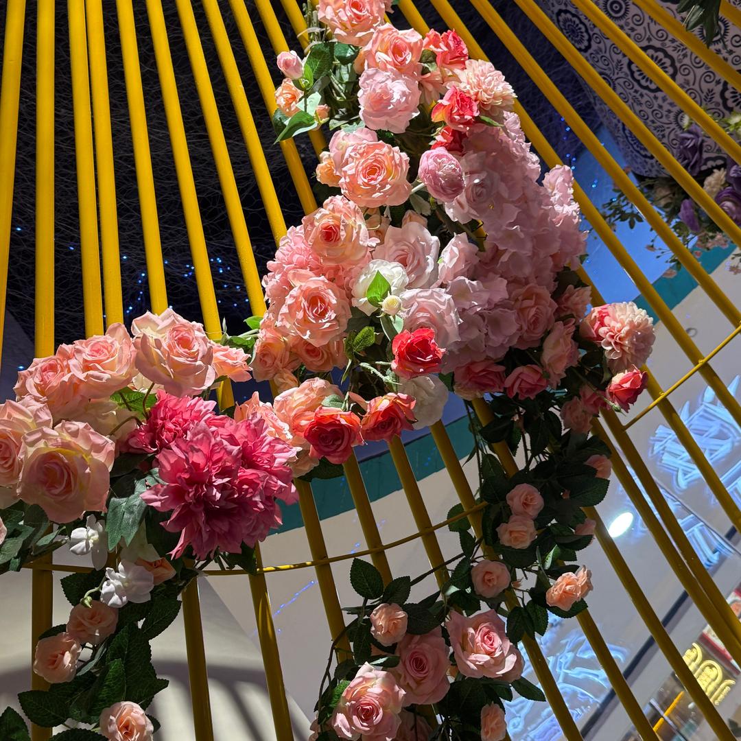 🌷暖心向阳🌷