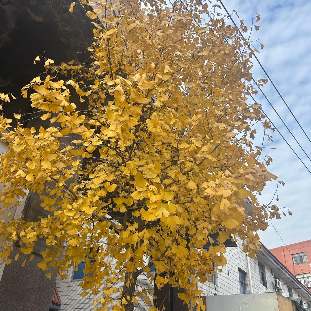 随遇而安…
