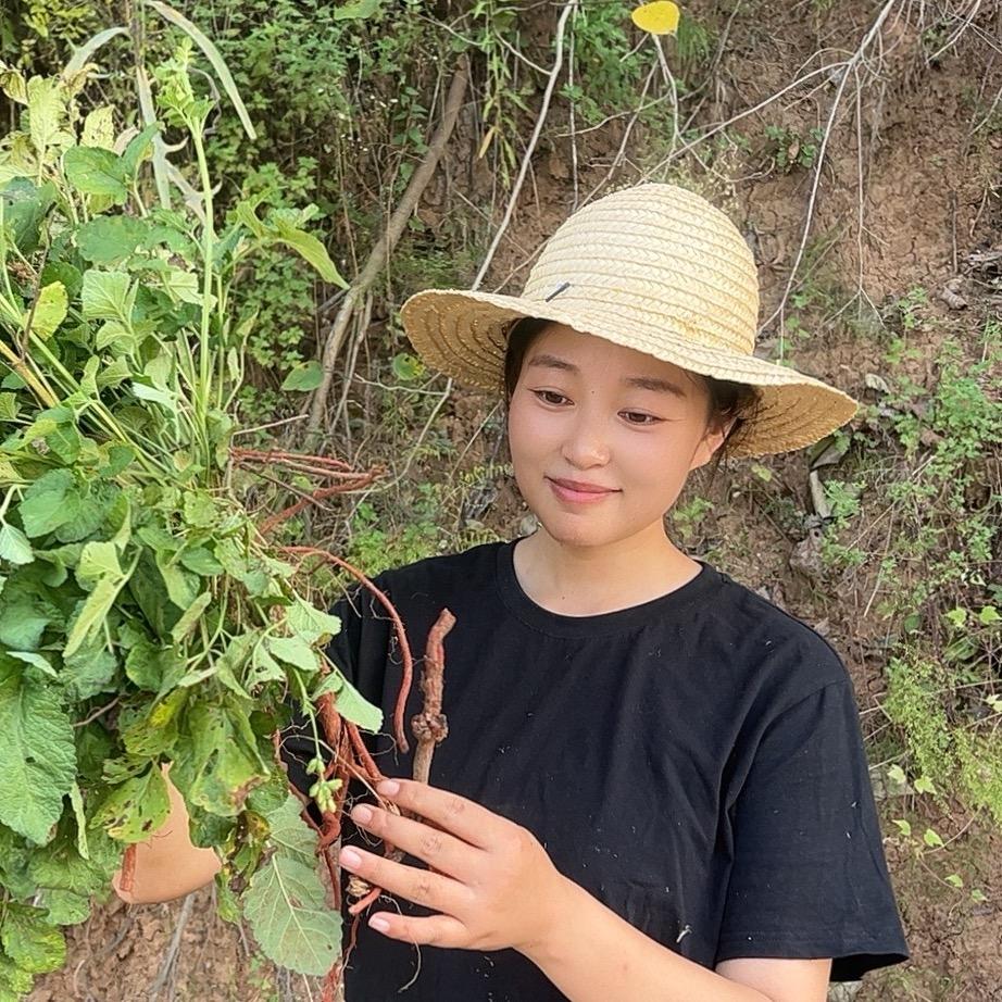 小昭秦岭山货