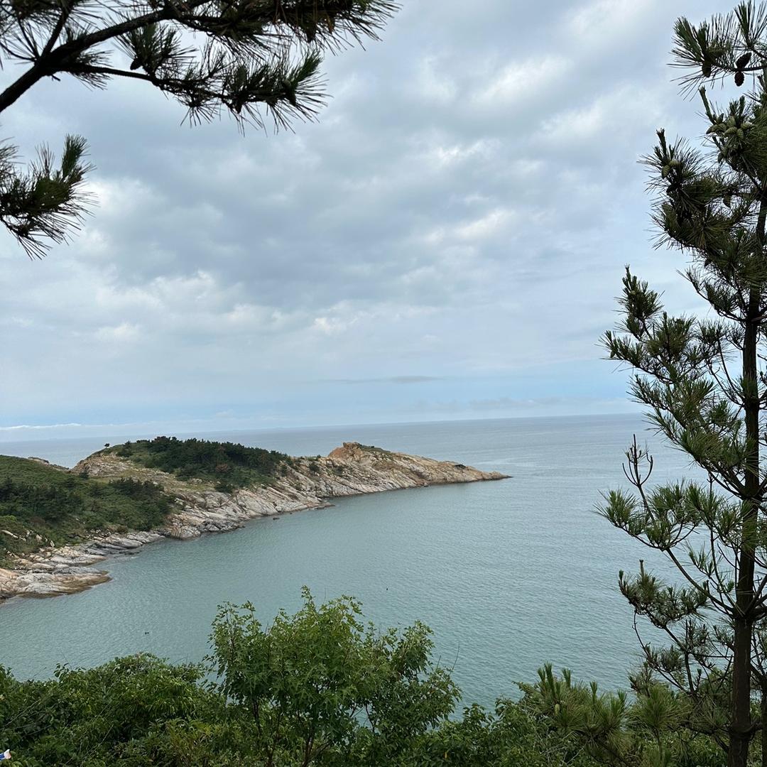 小野优选