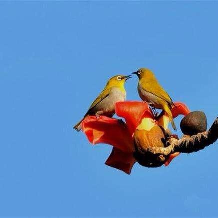 ❤️‍🔥终身🇨🇳难忘🎉💞🎉