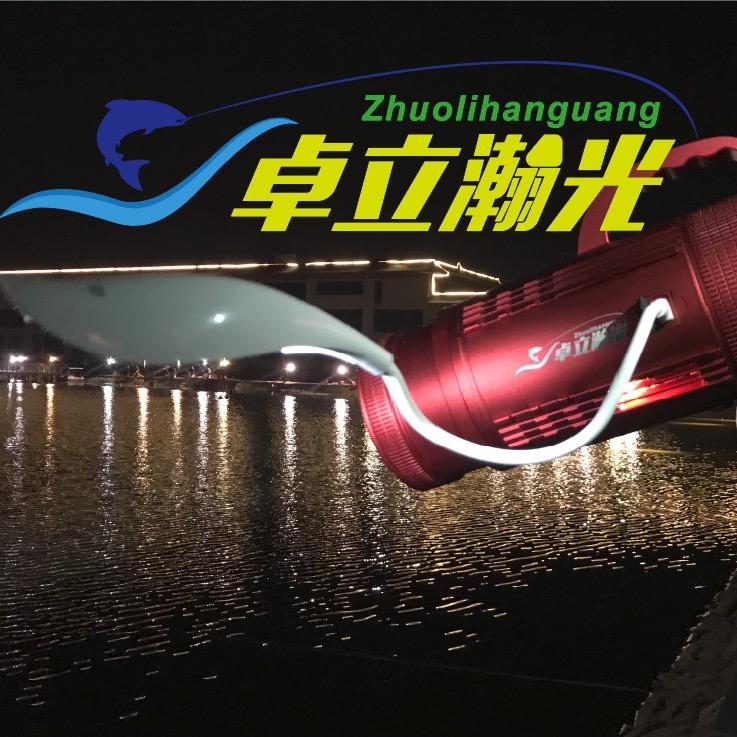 卓立瀚光官方号