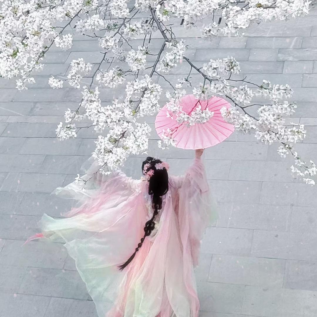 鹿闻🦌(蓄力向上ing)