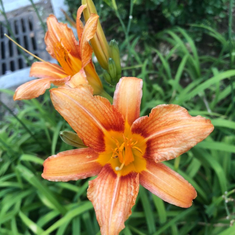 温润