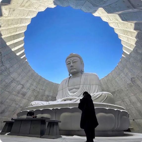 恩泽（君越汽车租赁）