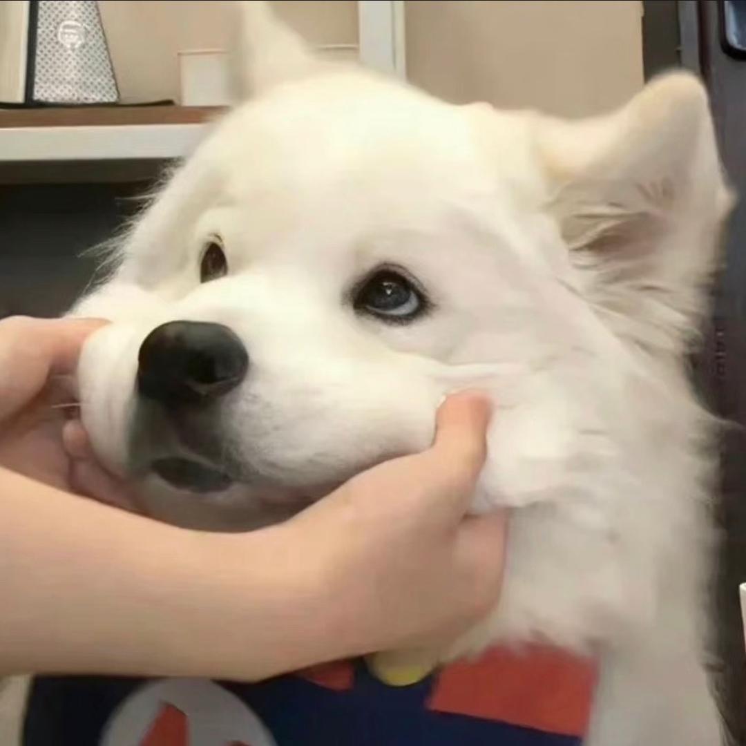 老庄..