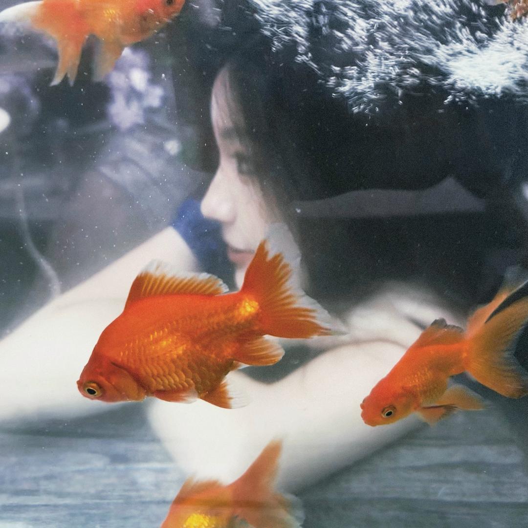 美丽坏小姨