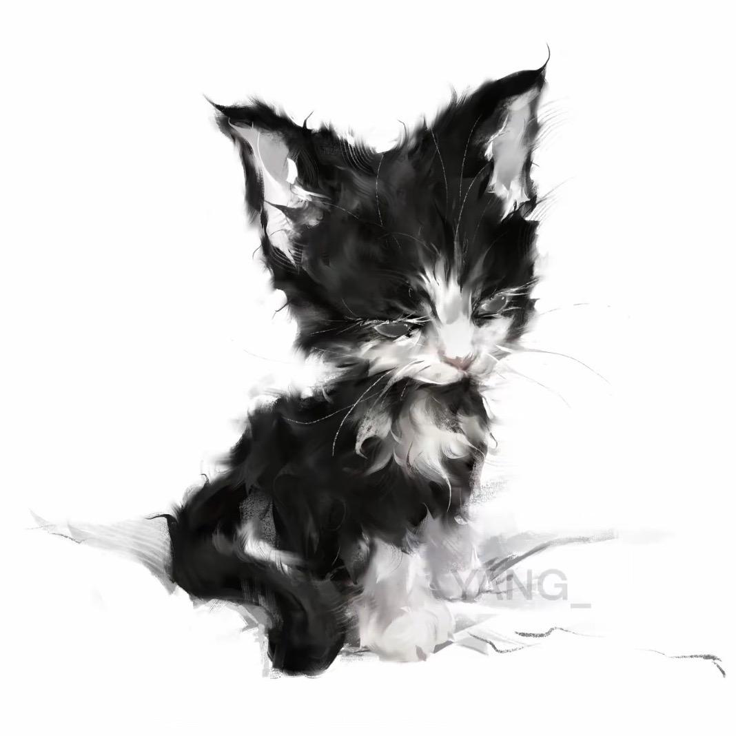 灰灰灰灰常美丽的巨兔12138.🌈