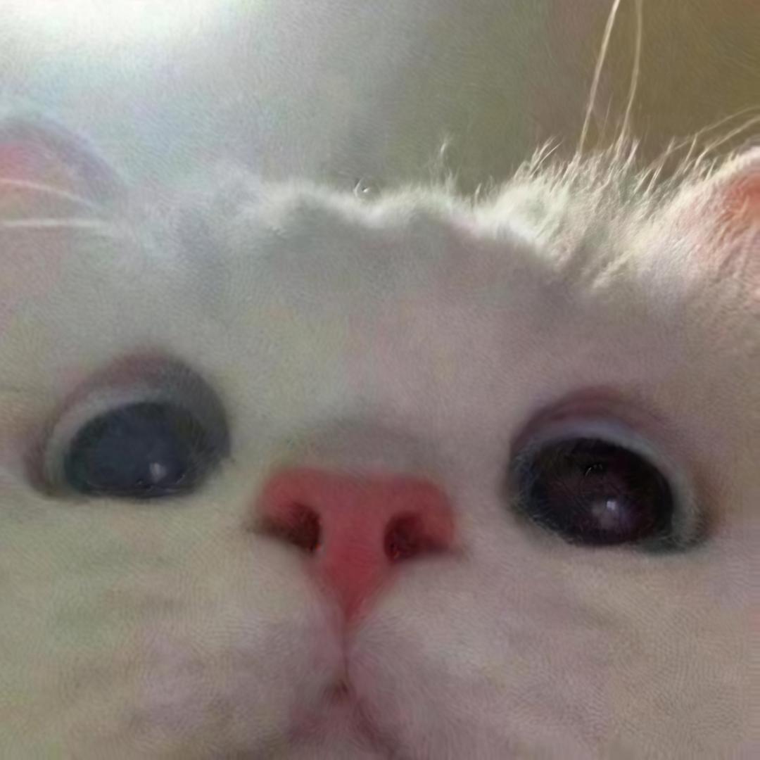 -Wt·