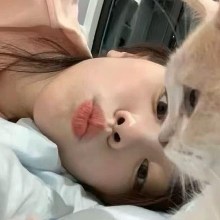 喵喵🐱