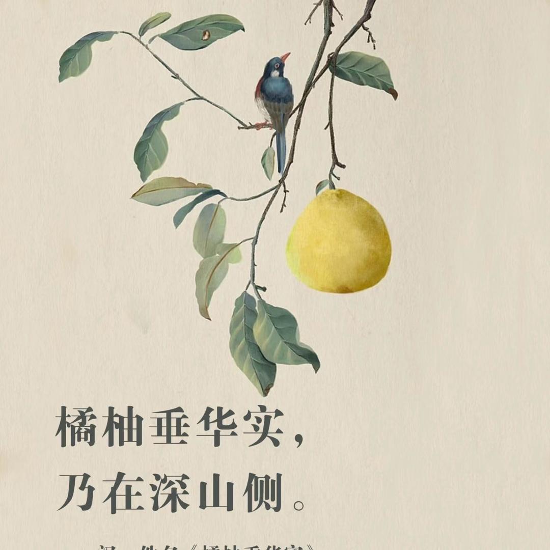 柚 遇见您・品质优选