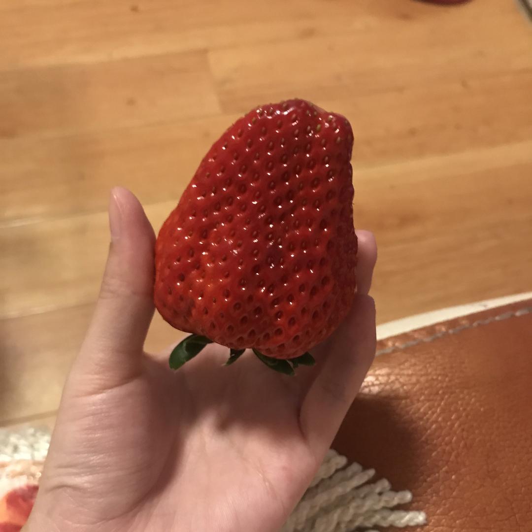 敏捷绿湖首府四期南门美宜佳仙儿直播号敏捷绿湖首府四期南门美宜佳