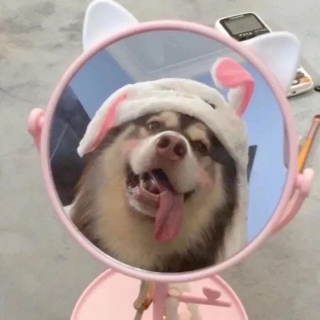 欧美老炮 约翰塞纳