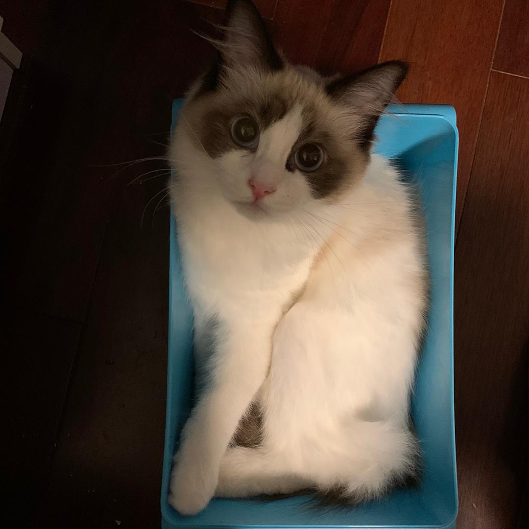 星火茶社（海容店）