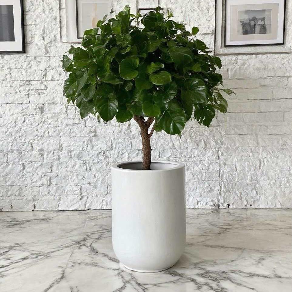 花诗艺陶瓷花盆