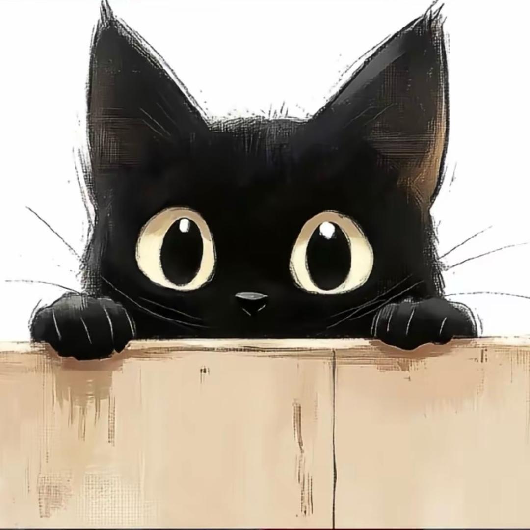 qq