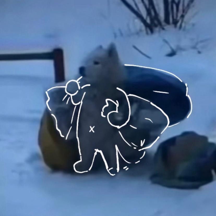 bro有话说头像
