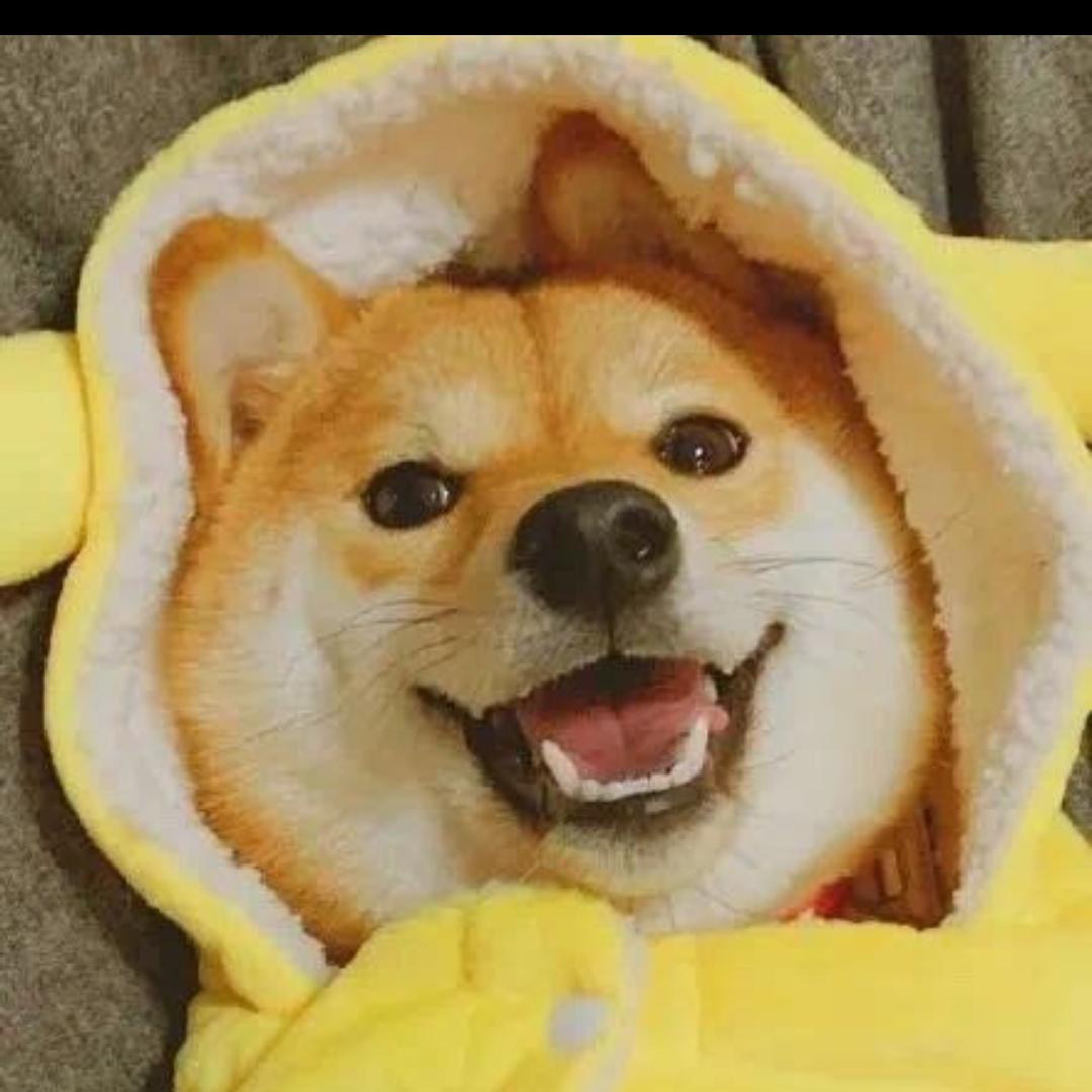 嗯蒽恩•