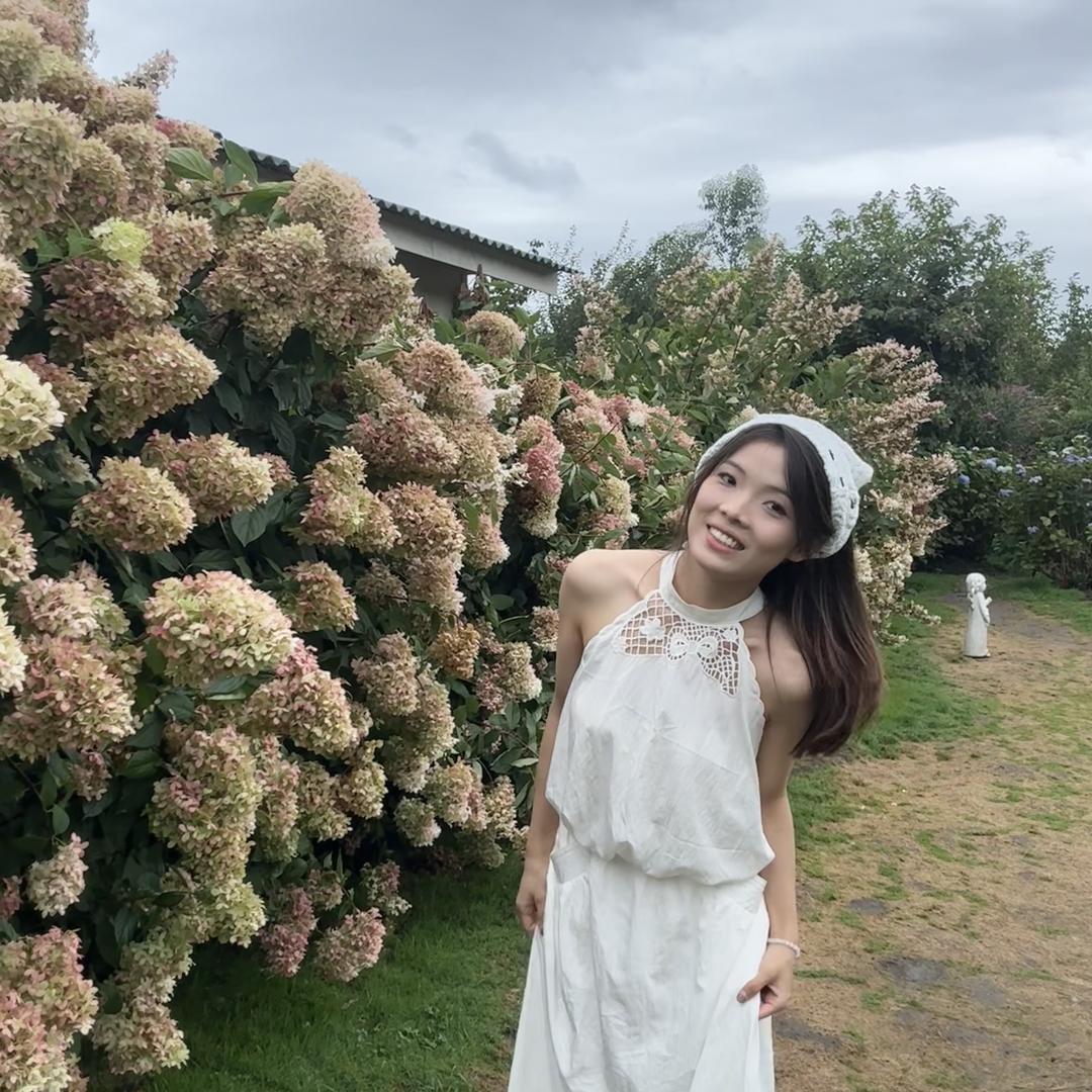 林间百趣