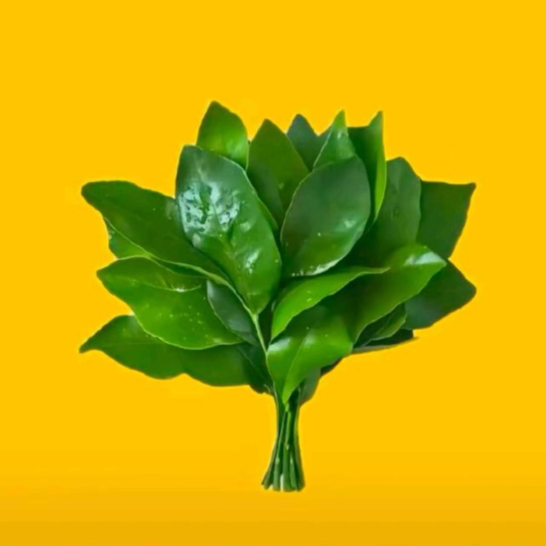 花果山小泼猴