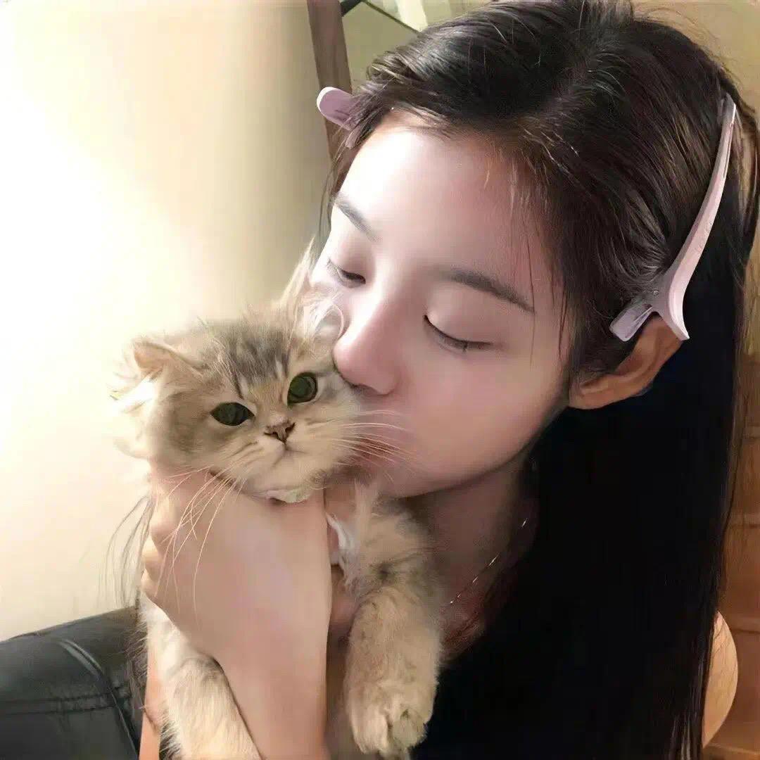 泥烦不凡
