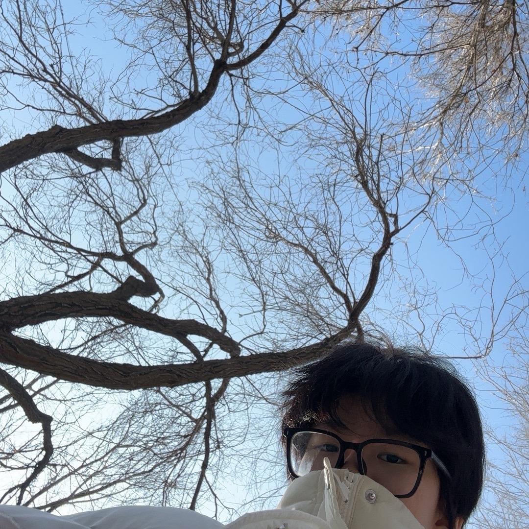 小杨