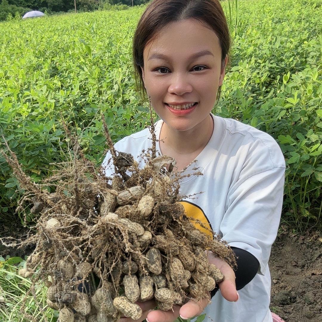 山汇城农村合作社