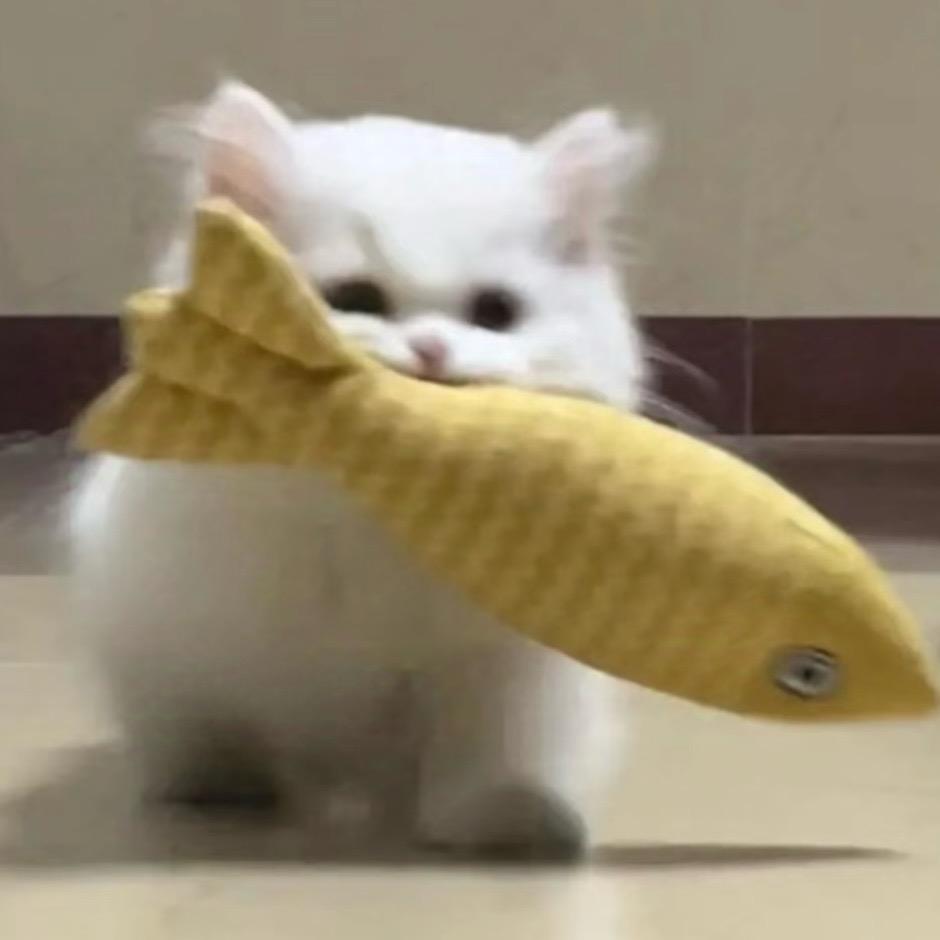 我不是闪亮的屁灯