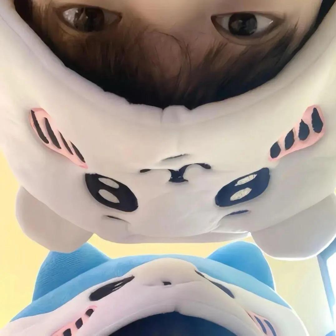 陈一念🐻