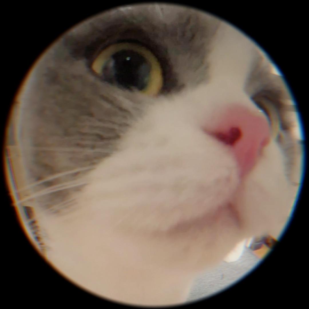 心碎老农民👩‍🌾