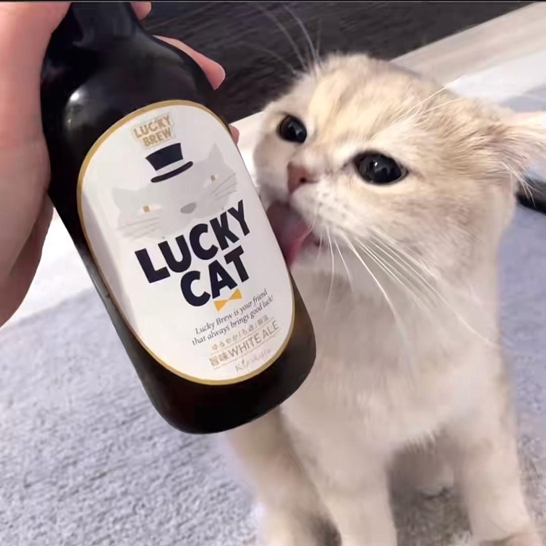 酱疆月月