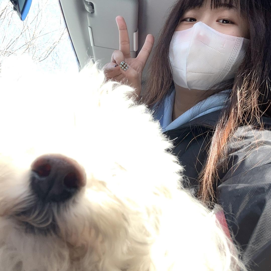 甜椒包头宠物上门喂养洗护