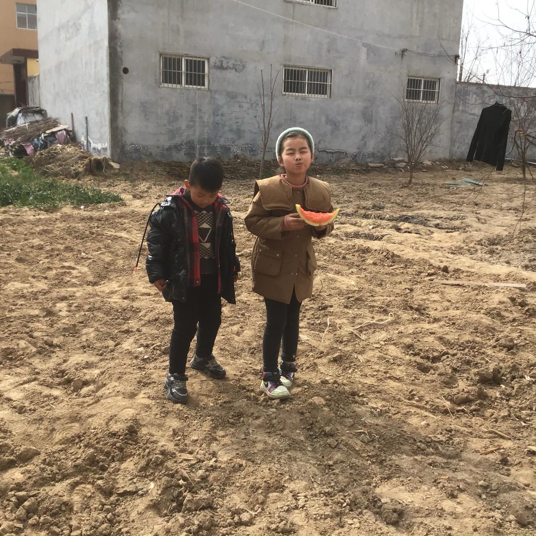 秦时明月汉时关