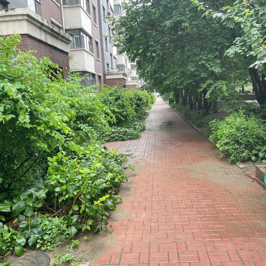 随手拍